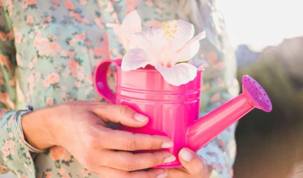 Mãos segurando uma flor com delicadeza, representando o autocuidado com amor e presença