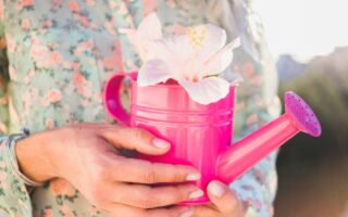 Mãos segurando uma flor com delicadeza, representando o autocuidado com amor e presença