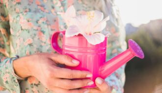 Mãos segurando uma flor com delicadeza, representando o autocuidado com amor e presença