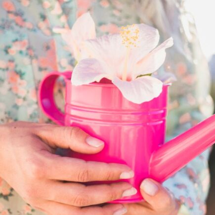 Mãos segurando uma flor com delicadeza, representando o autocuidado com amor e presença