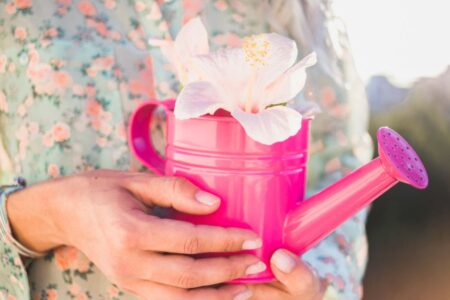 Mãos segurando uma flor com delicadeza, representando o autocuidado com amor e presença