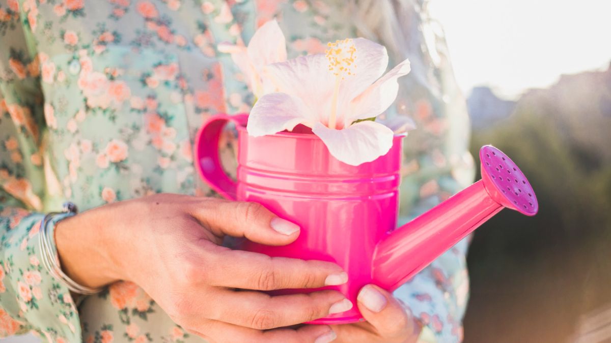 Mãos segurando uma flor com delicadeza, representando o autocuidado com amor e presença