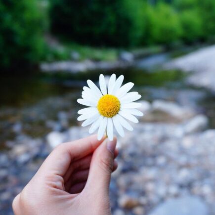 Pessoa oferecendo flores como símbolo de pequenas atitudes que transformam o mundo