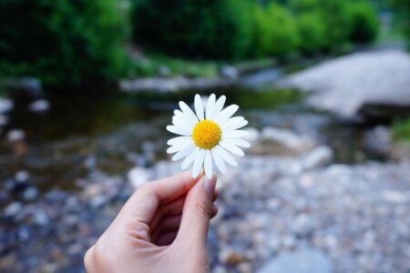 Pessoa oferecendo flores como símbolo de pequenas atitudes que transformam o mundo