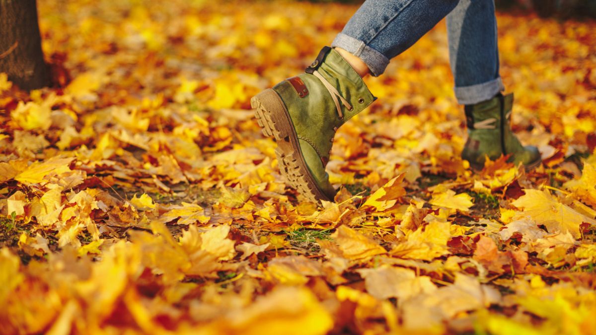 Mulher caminhando em um dia de outono reconhecendo os ciclos da natureza